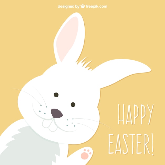 Cute bunny easter card