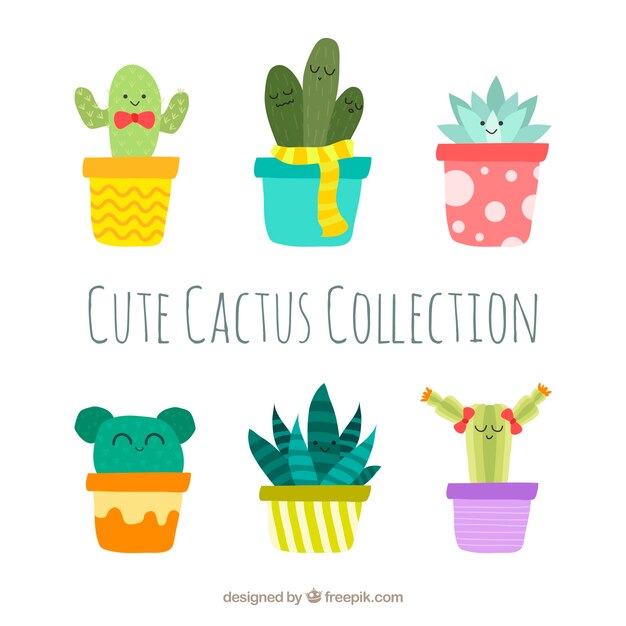 Cute cactus collection