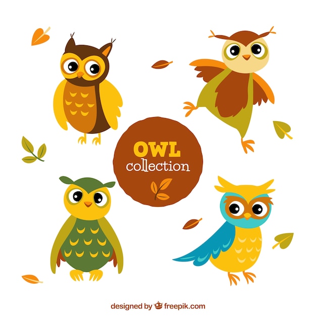 Free Vector cute cartoon owl pack