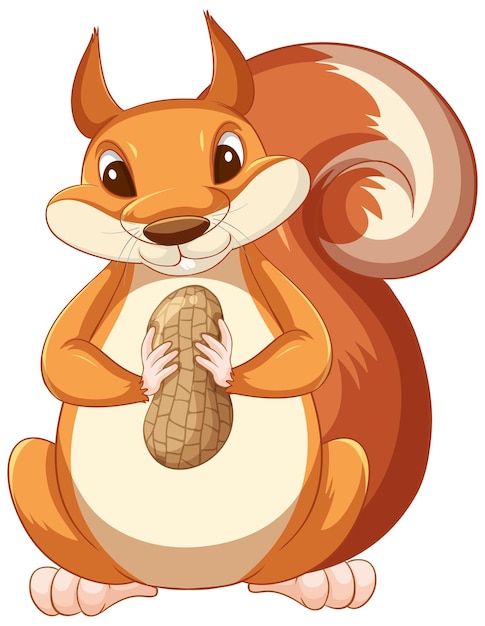 Free Vector cute cartoon squirrel holding peanut on white background