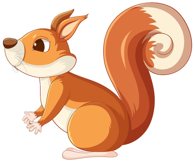 Cute cartoon squirrel on white background