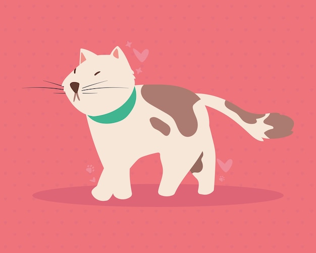 Cute cat walking