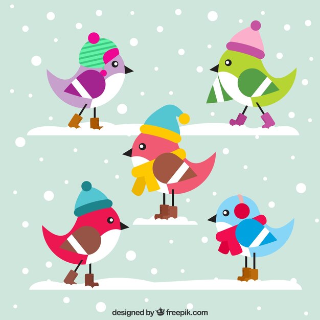 Cute colorful birds with hat