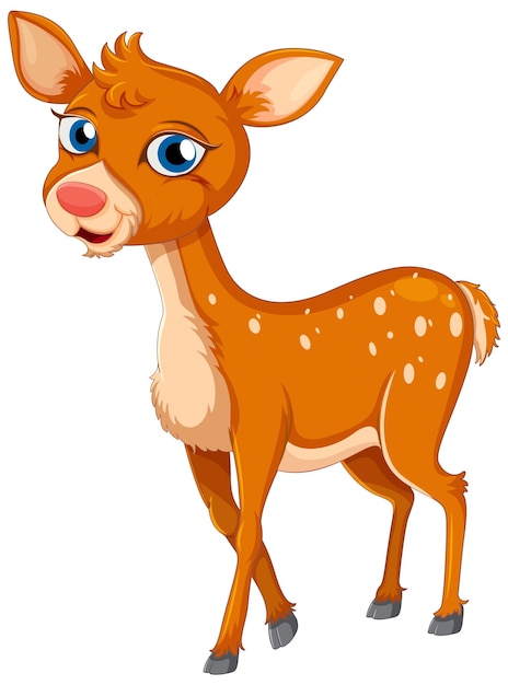 A cute deer on white background