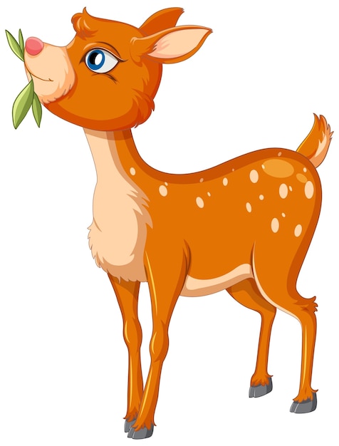 A cute deer on white background