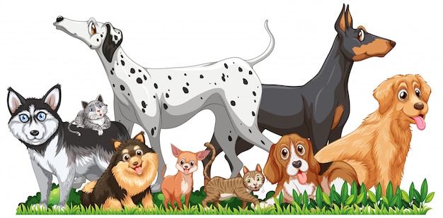 Free Vector cute different dogs group 