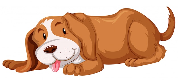 Free vector cute dog with brown fur