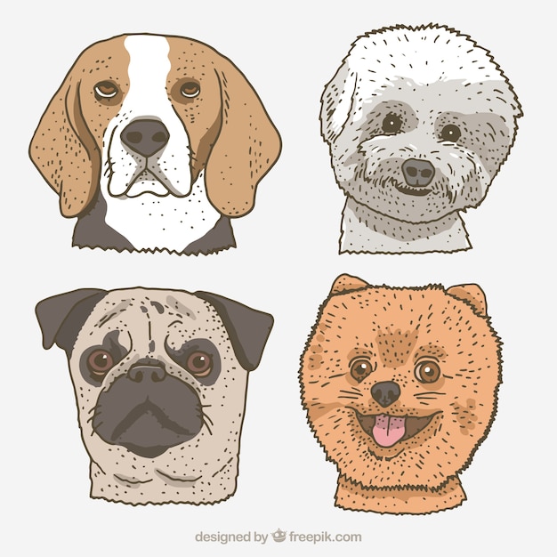 Free vector cute dogs in hand-drawn style