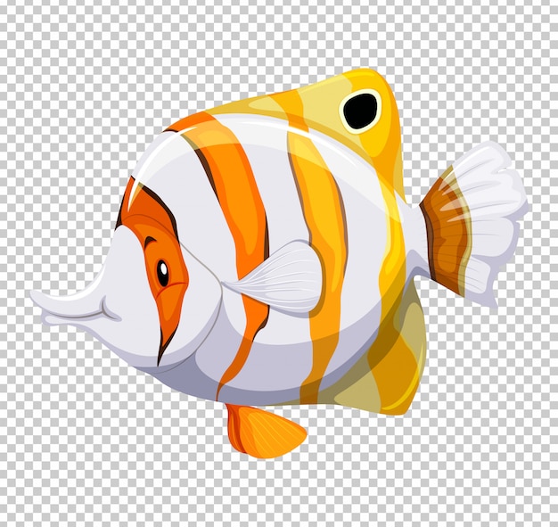 Cute fish on transparent