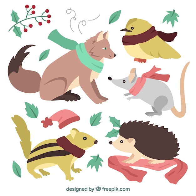 Free Vector cute forest animal set