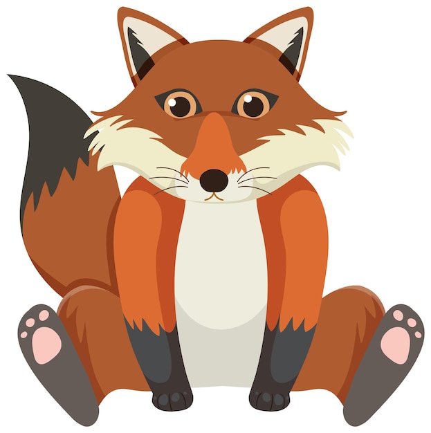 Cute fox in flat style isolated