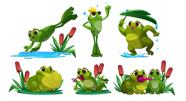 Cute frog cartoon character mascot