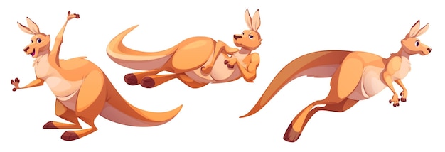 Free Vector cute funny kangaroo cartoon character