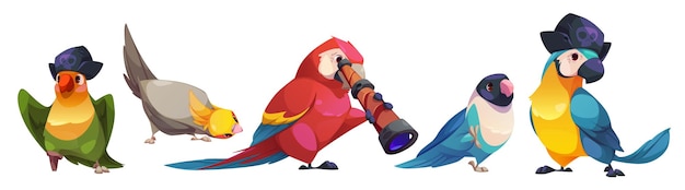 Free vector cute funny parrot characters wild birds and pirate