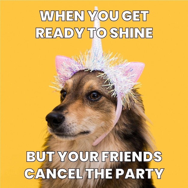 Cute funny ready to shine party meme