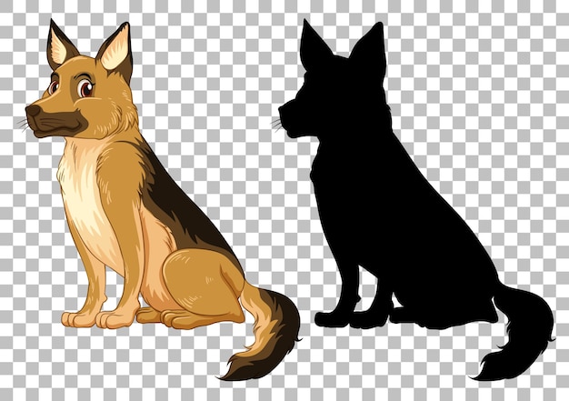 Cute german shepherd and its silhouette on transparent