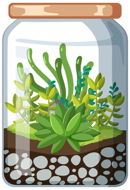 Free Vector cute glass terrariums with succulents on white backround