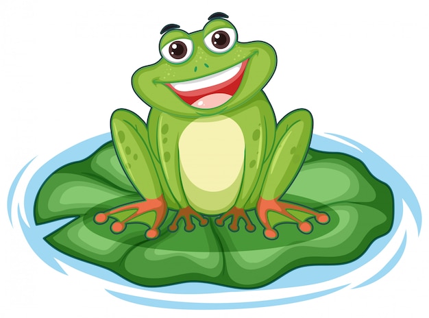 Cute green frog on lotus leaf