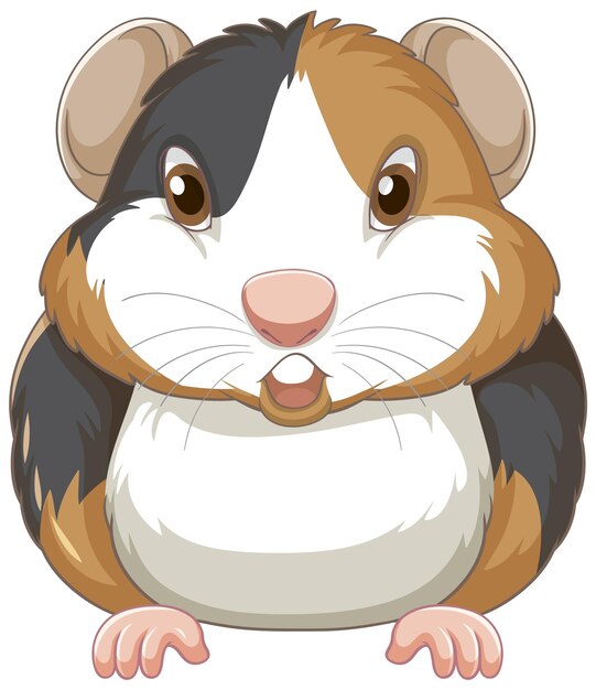 A Cute guinea pig on white background