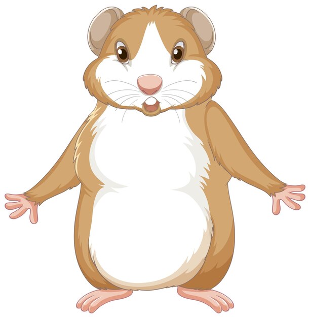 A Cute guinea pig on white background