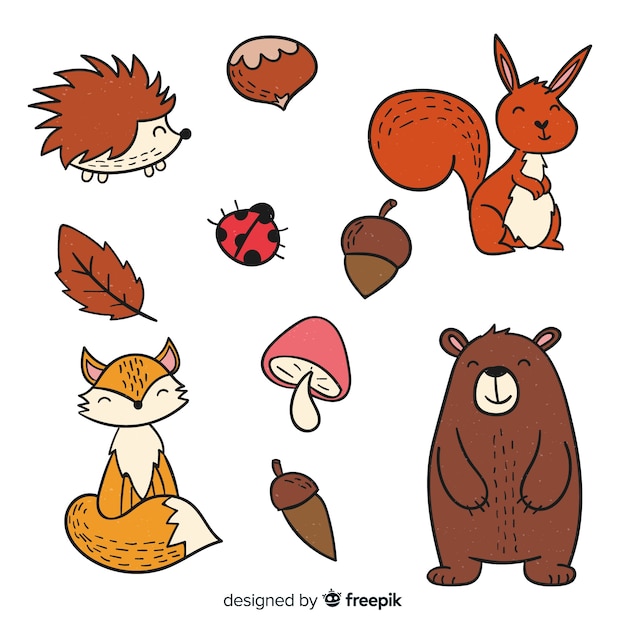 Free Vector cute hand drawn forest animals collection