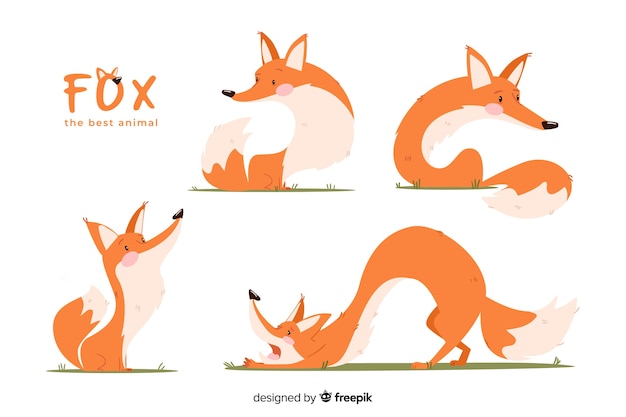 Cute hand drawn fox collection