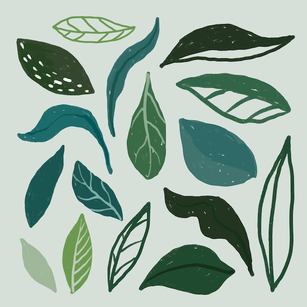 Cute hand drawn leaf set vector