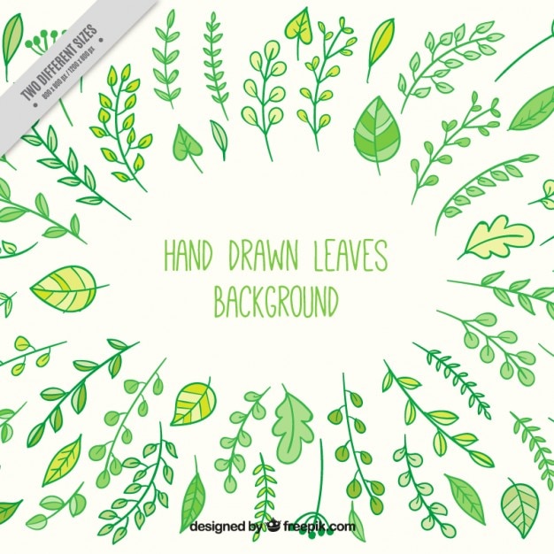 Free Vector cute hand drawn leaves background