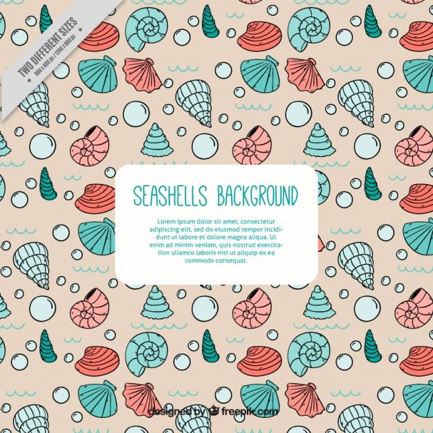 Free Vector cute hand drawn seashells background