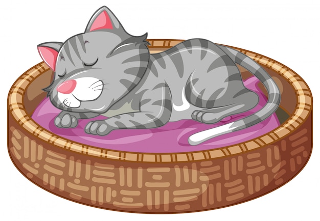 Free Vector cute kitty in basket