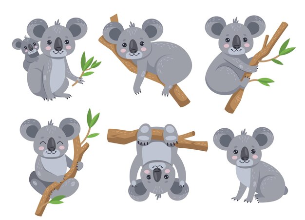 Cute koala sitting on eucalyptus tree cartoon illustration set. Adorable Australian bear with baby, lying and hanging on tree, holding leaf branch. Wildlife animal concept