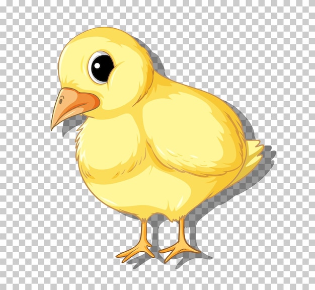 Free vector cute little chick in cartoon style