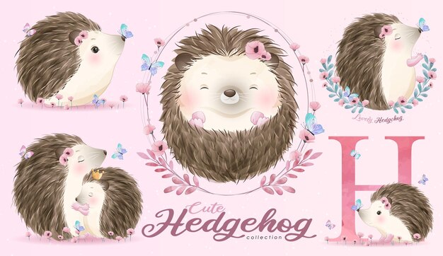 Cute little hedgehog with watercolor illustration set