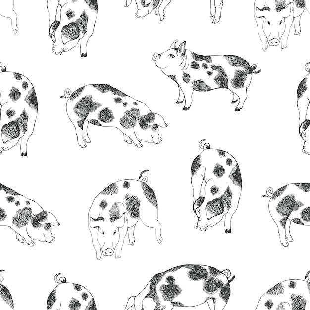 Cute little pigs pattern