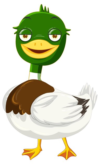 Cute mallard duck cartoon character