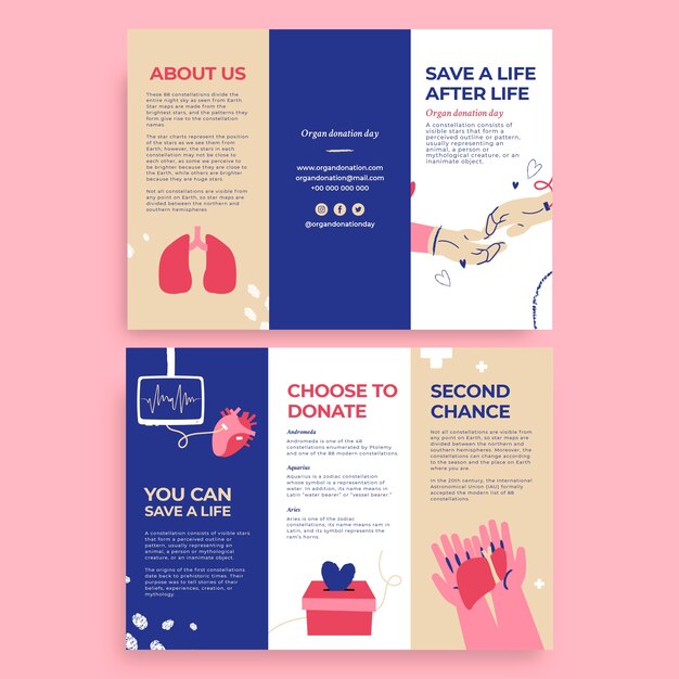 Cute organ donation day brochure template