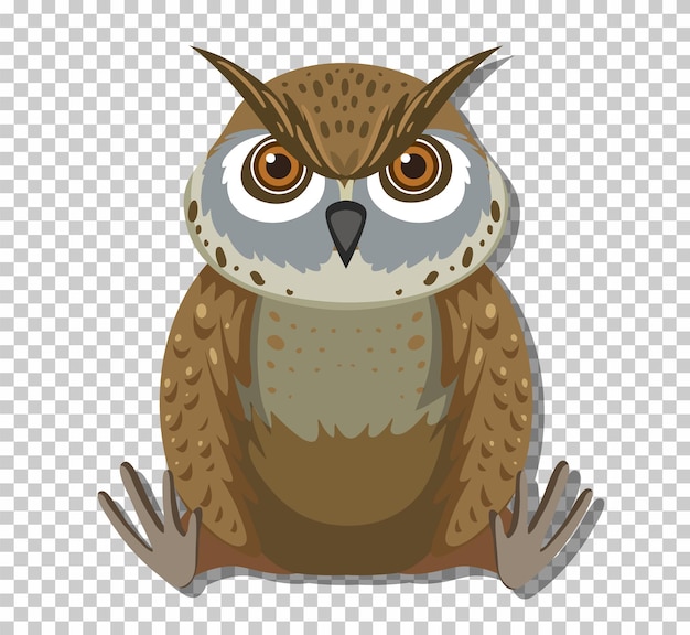 Free Vector cute owl bird in flat cartoon style