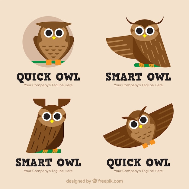 Cute owl logo collection