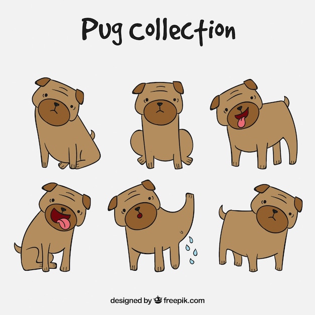 Free Vector cute pack of hand drawn pugs