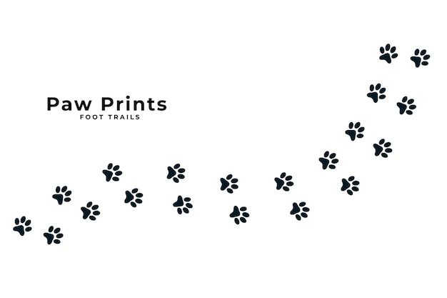 cute paw print trail white background design