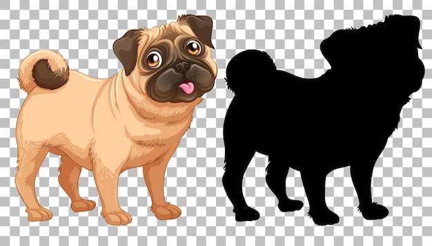 Cute pug dog and its silhouette