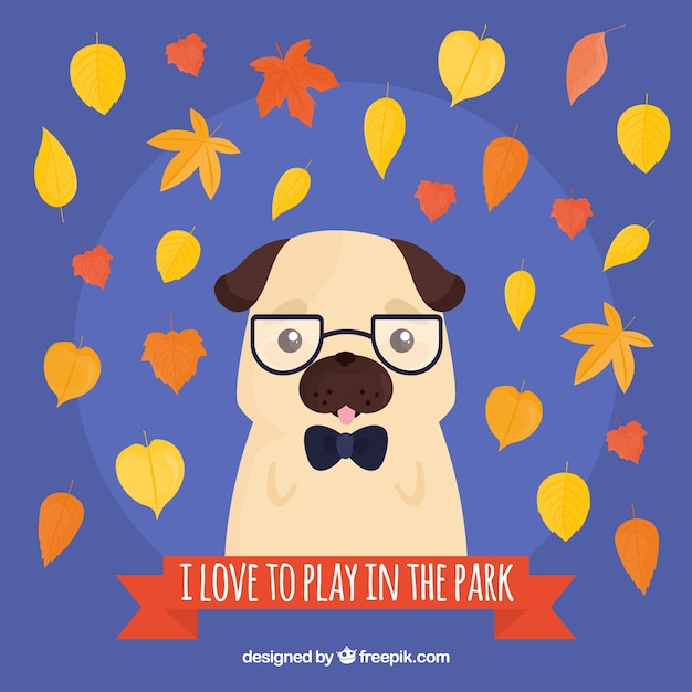 Free vector cute pug with autumnal leaves