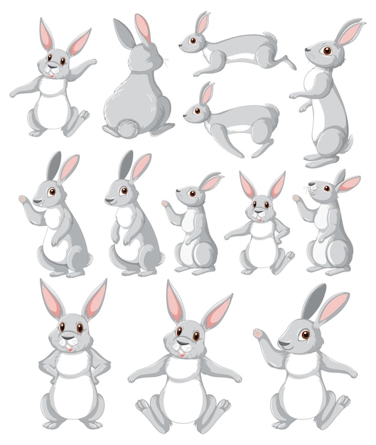 Free Vector cute rabbit cartoon character collection