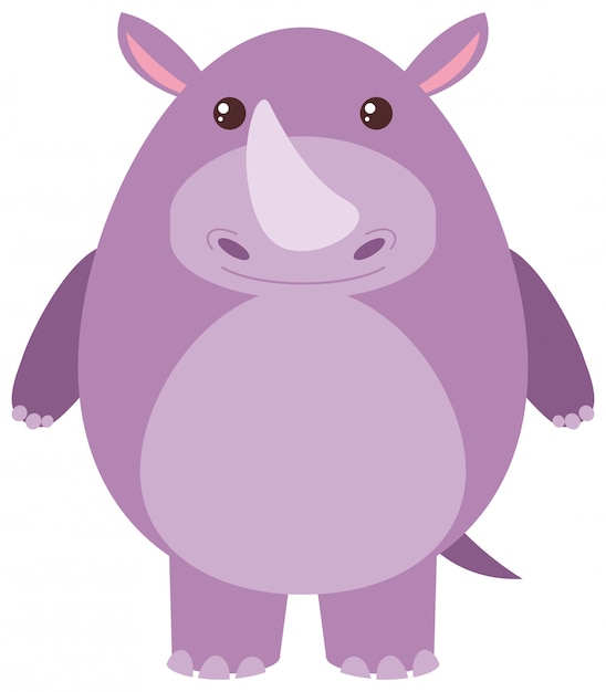 Cute rhino on white background