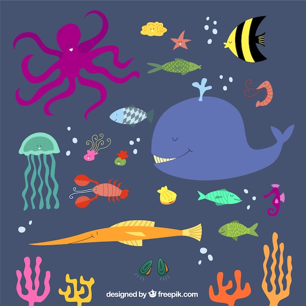 Free vector cute sea animals