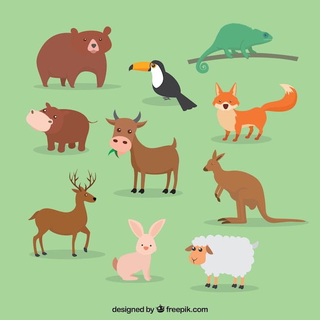 Free vector cute set of great animals in flat design