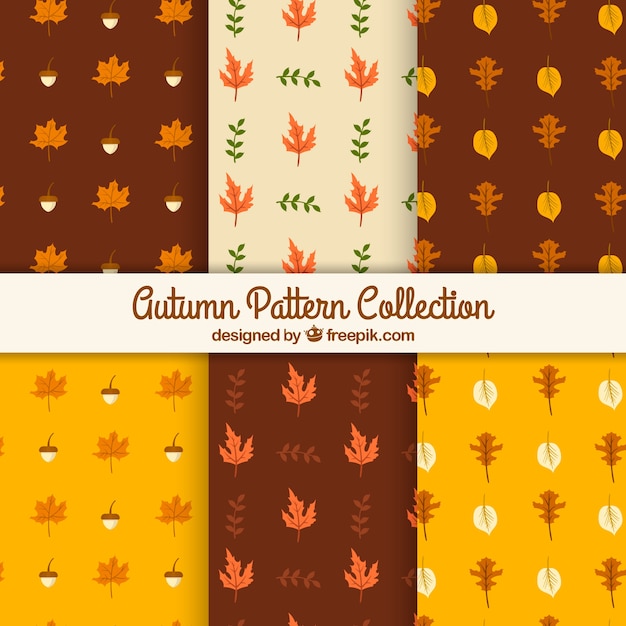 Cute set of patterns with autumn leaves