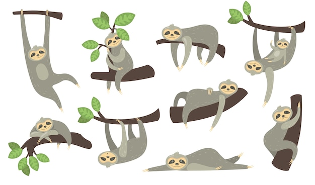 Cute sleepy sloth on branch flat icon set. Cartoon character of little sloth hanging, sleeping, lying or playing with baby isolated vector illustration collection.