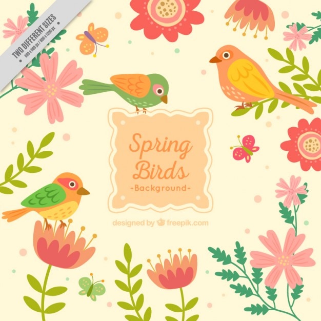 Free Vector cute spring birds background