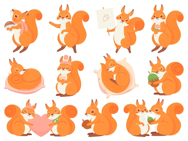 Cute squirrel cartoon mascot